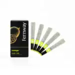 Mango [.5g]-Fernway
