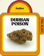 Durban Poison-3.5g
