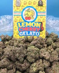 Lemon Cherry Gelato